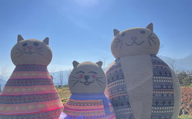 Giải mã lý do Fansipan là tọa độ du xuân được săn đón “bậc nhất” Tết này