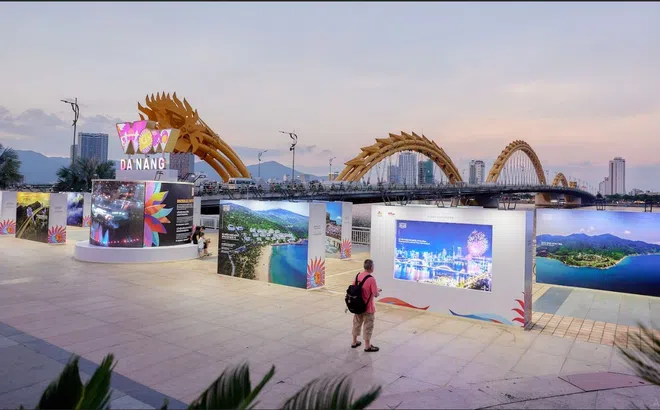 Triển lãm ảnh WOW Đà Nẵng - tọa độ check-in mới lạ mùa hè này