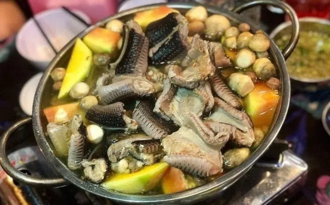Rắn trên đĩa, bí mật ẩm thực đỉnh cao dành cho những người 'mạo hiểm'