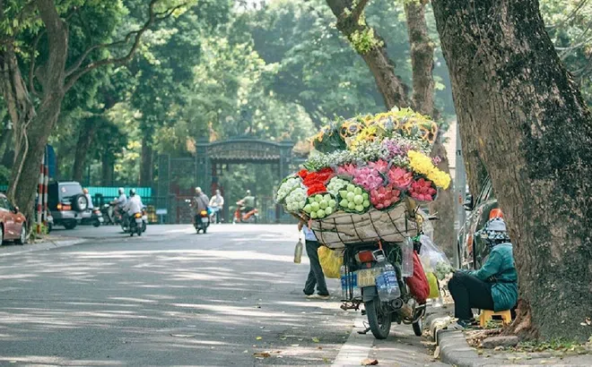 Tháng 11 không khí lạnh tăng cường, nhiệt độ chưa giảm sâu