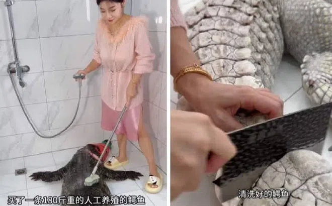 Nữ vlogger gặp hậu quả khi kiếm lượt xem bằng hình ảnh chế biến cá sấu