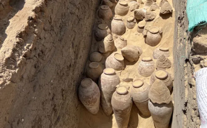 Khai quật lăng mộ nữ hoàng Ai Cập, chuyên gia sửng sốt phát hiện hàng trăm bình rượu 5000 năm tuổi, có bình còn cả niêm phong