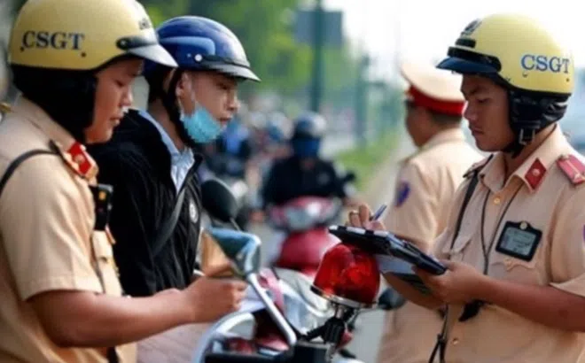 Những trường hợp nào bắt buộc phải đổi giấy phép lái xe trước 15/10 nếu không muốn bị phạt tiền?