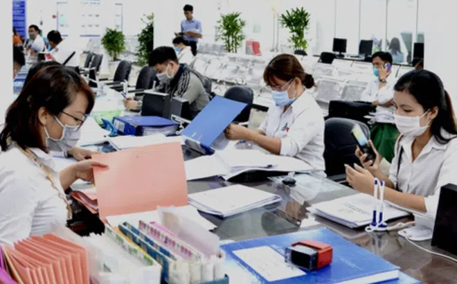 Từ 15/11/2023, áp dụng chính sách mới về tiền lương đối với công chức chuyên ngành thống kê