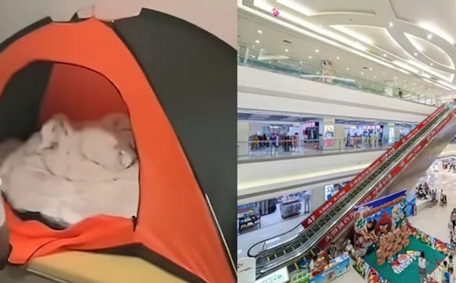 Người đàn ông lén lút sống trong trung tâm mua sắm suốt 6 tháng mà không ai phát hiện