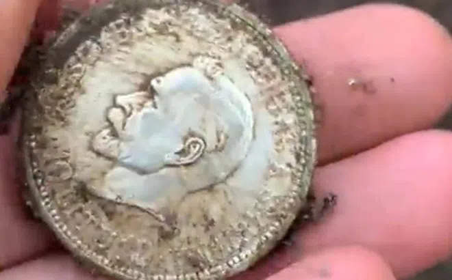 Thợ săn kho báu tìm thấy 32 đồng tiền xu của Đức Quốc xã được giấu ở địa điểm bí ẩn