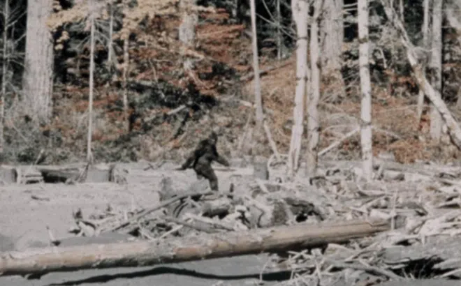 Những trường hợp tận mắt nhìn thấy quái vật Bigfoot thuyết phục nhất từ trước tới nay