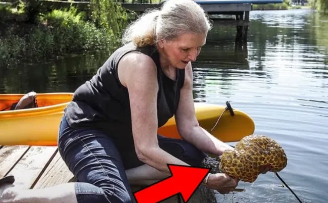 Thấy vợ câu được sinh vật lạ nhão nhoẹt lên khỏi mặt nước, chồng nhìn thấy liền hét lớn