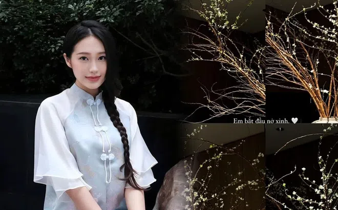 Loại hoa Tết được Doãn Hải My mua trước cả tháng trưng bày trong nhà