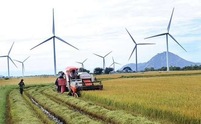Mục tiêu đưa ngành nông nghiệp miền Trung trở thành nền nông nghiệp sinh thái, hiện đại, hội nhập quốc tế.