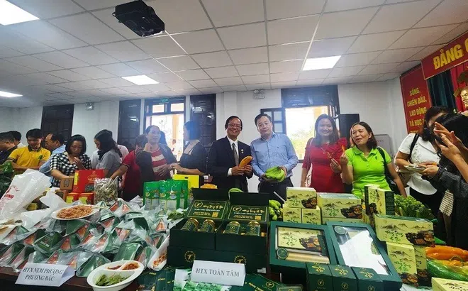 Lâm Đồng liên kết mở rộng thị trường tiêu thụ sản phẩm