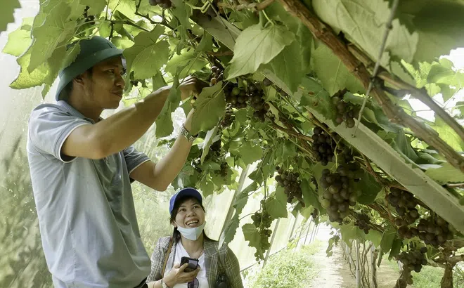 Đắk Nông đầu tư phát triển du lịch canh nông