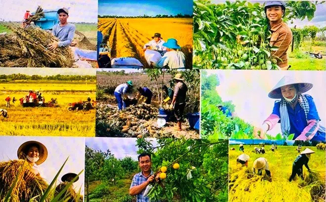 Tăng cường công tác đào tạo, bồi dưỡng, hỗ trợ cho nông dân, thúc đẩy quá trình “tri thức hóa nông dân”