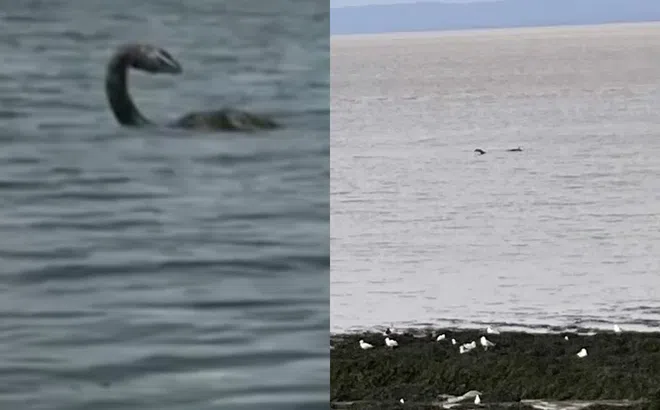 Sững sờ phát hiện 'quái vật hồ Loch Ness' xuất hiện rõ như ban ngày ở cự ly gần