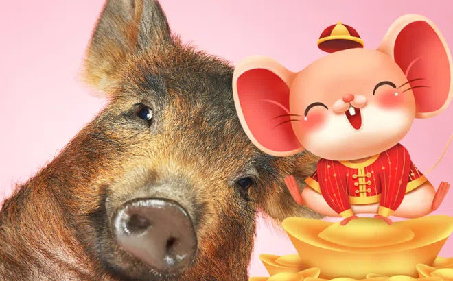 Từ tháng 3, những con giáp này tài lộc ập về như thác đổ: Tuổi số 2 may túi đựng tiền!