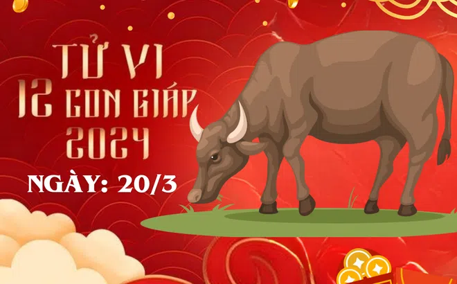 Tử vi 12 con giáp hôm nay ngày 20/3/2024: Tuổi Mão sa sút, tuổi Tỵ hao của, nhiều tuổi gặp bất ổn