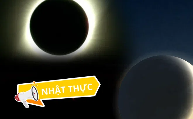 Nhật thực toàn phần ngày 8/4: NASA cảnh báo về hiện tượng hiếm gặp, động vật xuất hiện dấu hiệu lạ