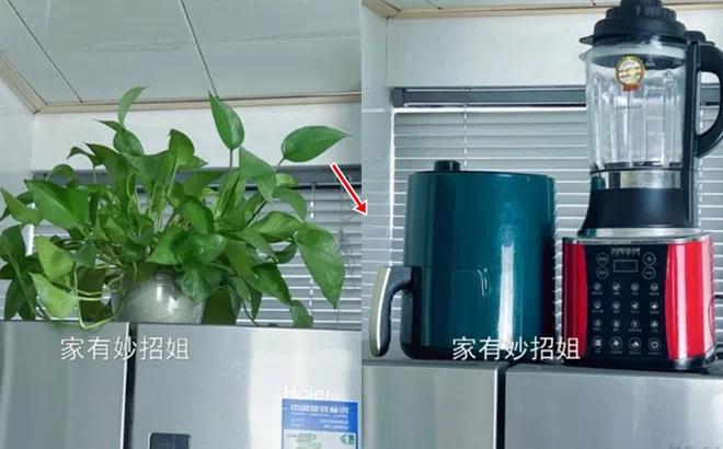 Thợ điện lâu năm nhắc nhở: Đừng đặt 3 thứ này lên nóc tủ lạnh, không chỉ gây tốn điện mà còn làm nhanh hỏng tủ lạnh!