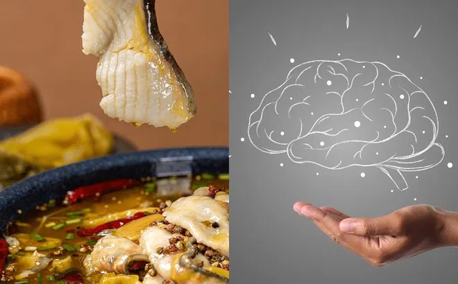 Ăn cá có thực sự giúp bạn thông minh hơn? Khảo sát về IQ cho ra kết quả bất ngờ!