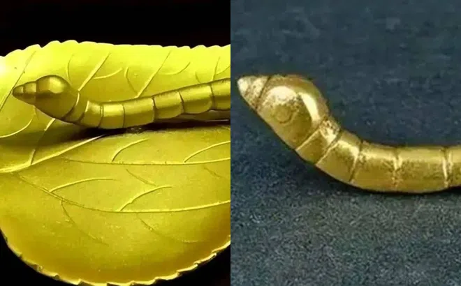 Cậu bé nhặt được con bọ vàng khi tắm sông liền mang về cho bố mẹ, hoá là báu vật vô giá!