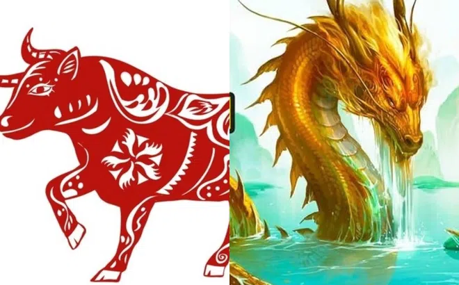 Từ ngày 25 tháng 12 đến ngày 30 tháng 12, sự giàu có sẽ ập đến với các con giáp này!