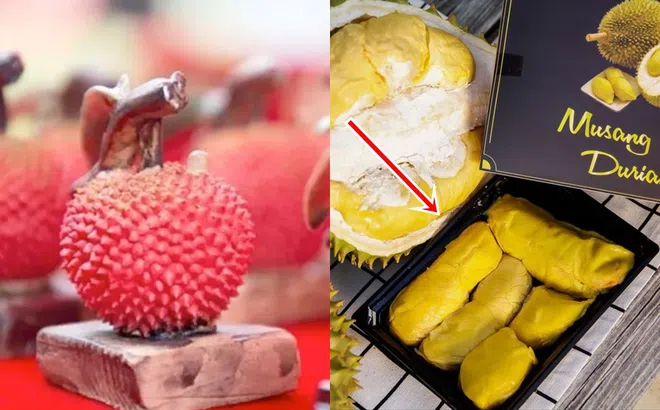 3 loại trái cây đắt nhất, 90% người dân chưa bao giờ ăn chúng: Một quả vải có giá đến tiền tỷ!