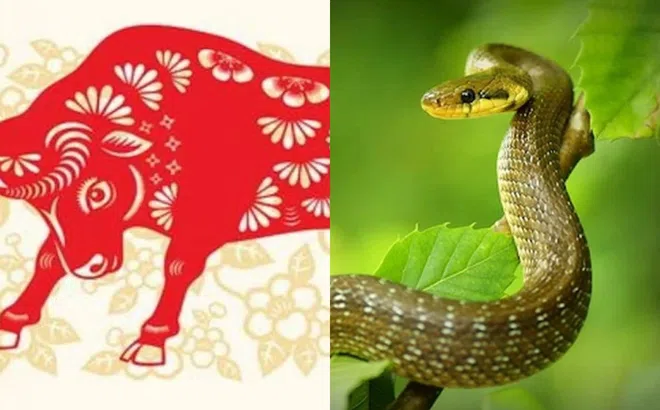 Từ tuần sau, 3 con giáp này sẽ may mắn về tình duyên lẫn tiền bạc!