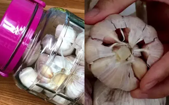 Sống 30 năm mới phát hiện cách bảo quản tỏi để được cả năm không hỏng!