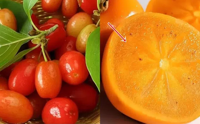 Nếu thuyết tiến hóa là đúng, tại sao thực vật không tiến hóa để trở nên khó ăn? Quả có vị ngọt hóa ra là vì điều này!