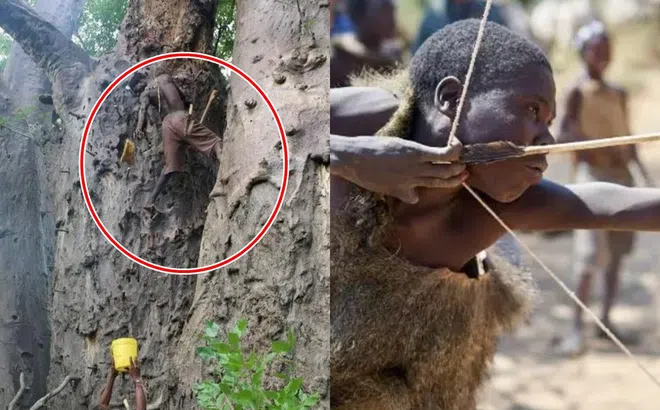 Bộ tộc săn bắn cuối cùng trên thế giớ: 10 tuổi có thể bắn nhím, vẫn giữ thói quen 10.000 năm trước