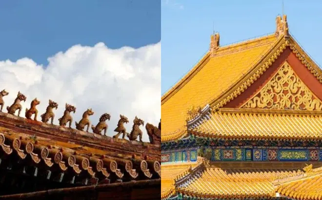Tại sao trên nóc Tử Cấm Thành không bao giờ dính 'phân chim', nghe hướng dẫn viên giải thích càng khâm phục trí tuệ của người xưa.