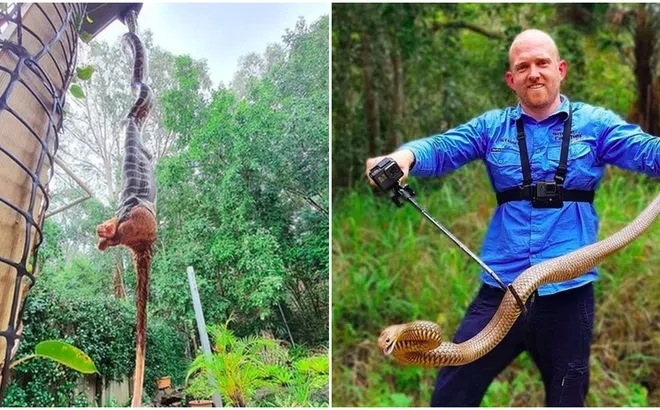 1 gia đình khiếp sợ khi nghe thấy tiếng động kì quái trong vườn, tá hỏa khi biết thứ gây ra