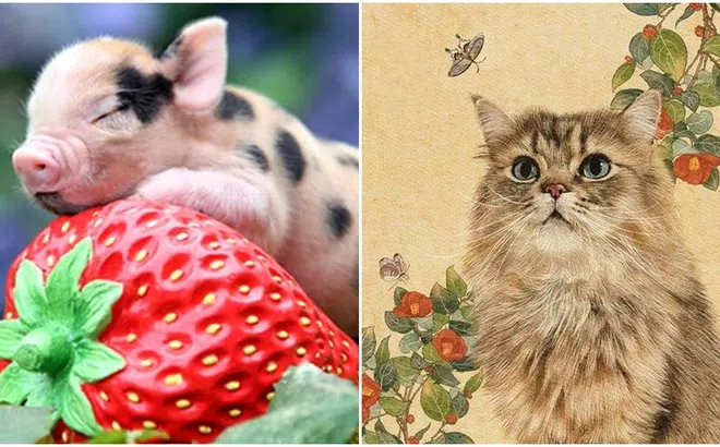 Từ 11/12, vận may sẽ đến với 3 con giáp này: Nắm bắt cơ hội, tài vận và sự nghiệp thăng tiến