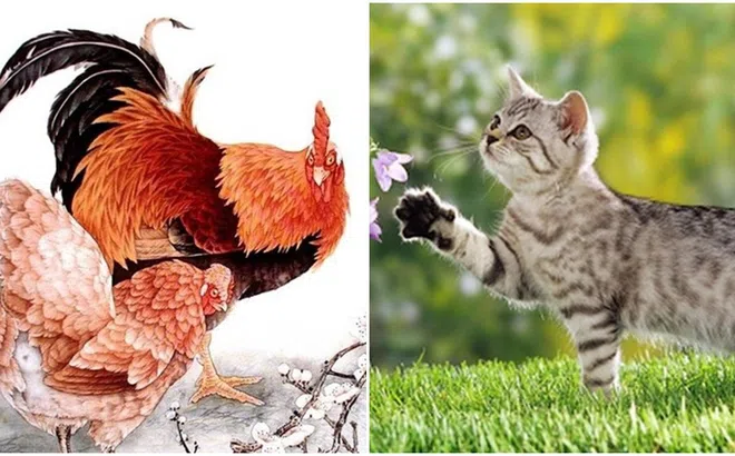 Ngày mai 24/12, 3 con giáp sau vận may bùng nổ, tiền đếm mỏi tay