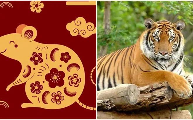 Từ ngày 4/1, vận may của 4 con giáp này sẽ tăng trưởng: Tăng lương, tăng lương, tình yêu thăng hoa