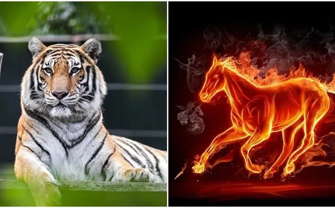 Vận may của 12 con giáp ngày 6/4: Tý thay đổi ngoạn mục, Thìn được quý nhân giúp đỡ