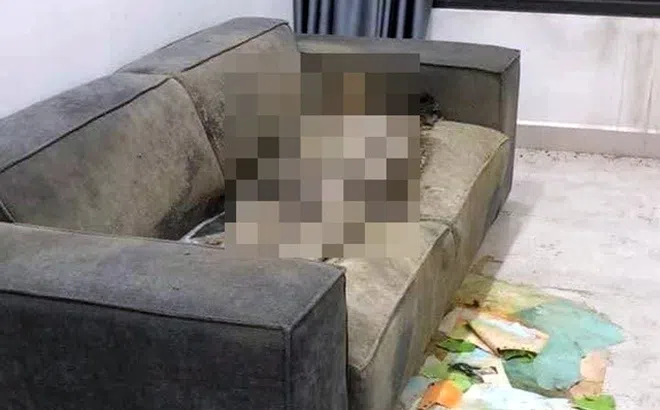 Cô gái chết ‘khô’ trong căn hộ chung cư cao cấp ở Hà Nội, gần 2 năm bố mẹ mới nhận được xác
