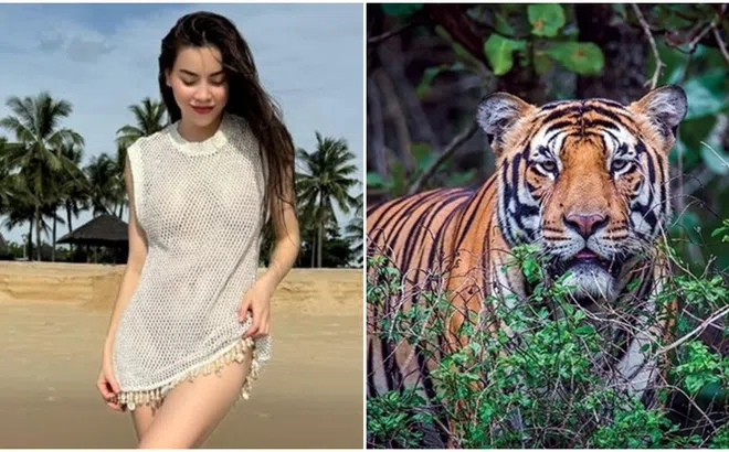 Tin nóng tối 11/6: Hà Hồ ‘thả rông’ vòng 1, clip Hộ pháp Kim Cang từng theo ông Thích Minh Tuệ nhảy trong bar