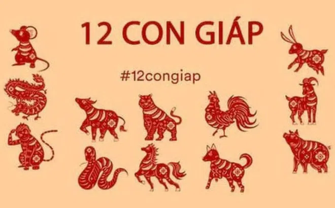 Tử vi 12 con giáp hôm nay ngày 28/8/2023: Tuổi Thìn đào hoa nở rộ,  tuổi Thân thận trọng khi tìm việc
