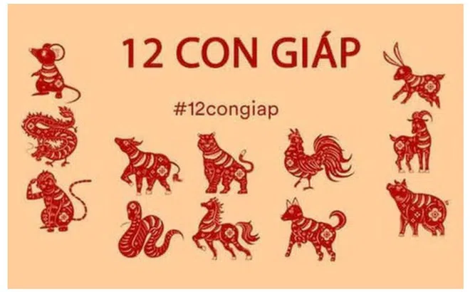 Tử vi 12 con giáp hôm nay ngày 3/9/2023: Tuổi Thìn nói ít làm nhiều, tuổi Mùi tranh chấp đồng nghiệp
