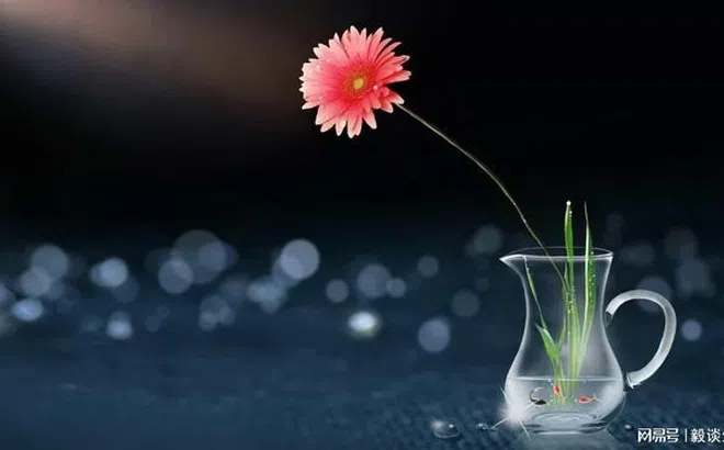 Sau ngày 7/9: 3 tuổi này được cát tinh soi chiếu, may mắn liên tục, tiền rơi như mưa, nhưng đừng khoa trương, bảo thủ