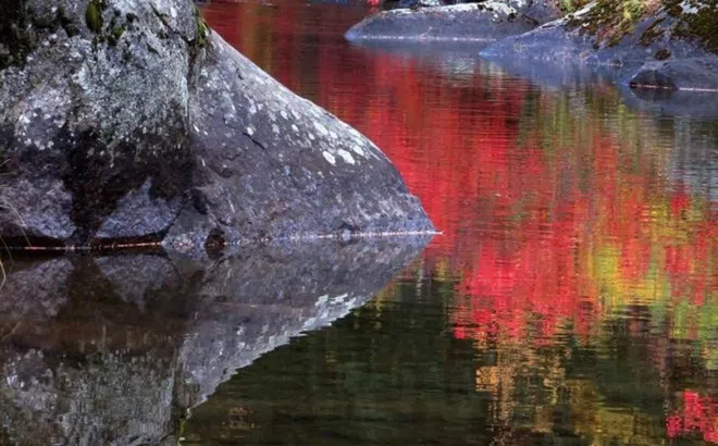 Từ 12/9: 3 con giáp đảo chiều vận mệnh, tận hưởng sự nghiệp vinh hiển, tiền bạc đầy túi