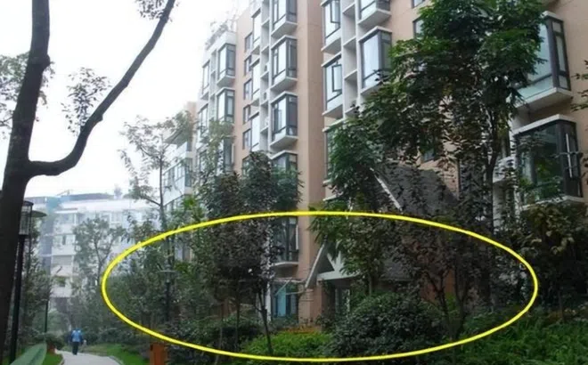 Nỗi khổ khi mua nhà chọn tầng một và những bí kíp 'sống chung với lũ'