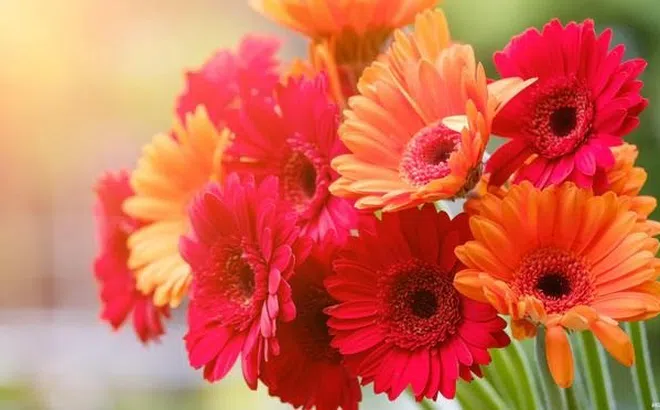 Tan sương, vén mây: 3 con giáp gặp nhiều may mắn nhất tháng 10, sự nghiệp thăng hoa, của cải vào như sóng cồn