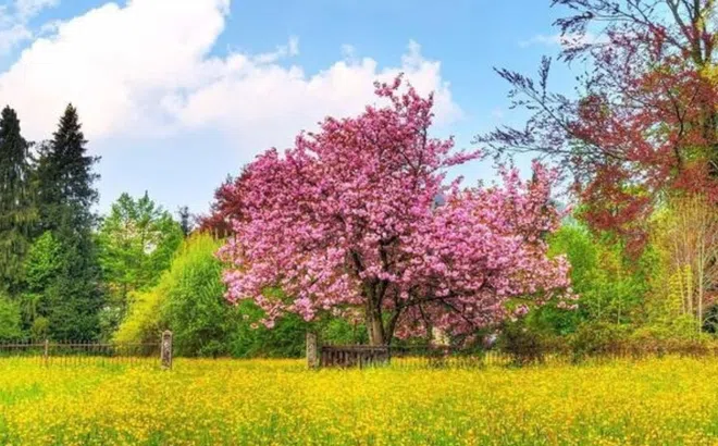 Tháng 10,11,12: 4 con giáp này nội lực bứt phá lại thêm Thần Tài chống lưng, chuẩn bị hốt bạc