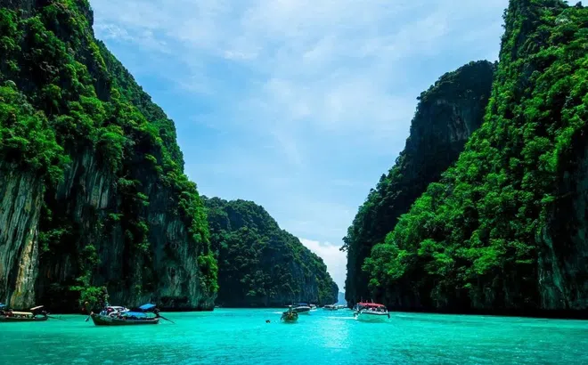 Đang dạo biển Phuket, du khách phát hiện sinh vật biển khổng lồ, toàn màu trắng cực quý hiếm
