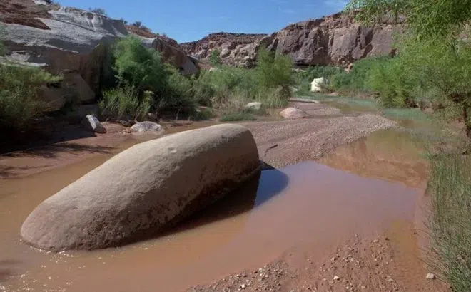 Hì hục đào hầm săn kho báu, người đàn ông thành tội đồ khiến giới khảo cổ rúng động
