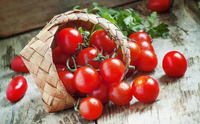 Tất tần tật về cà chua bi: Lợi ích tuyệt vời với sức khỏe không phải ai cũng biết